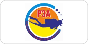 P3A Amed
